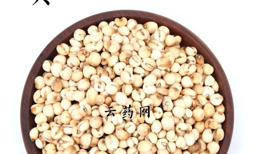 八角乌鸡的功效与作用网 - 八角乌鸡的功效与作用禁忌,八角乌能治什么病